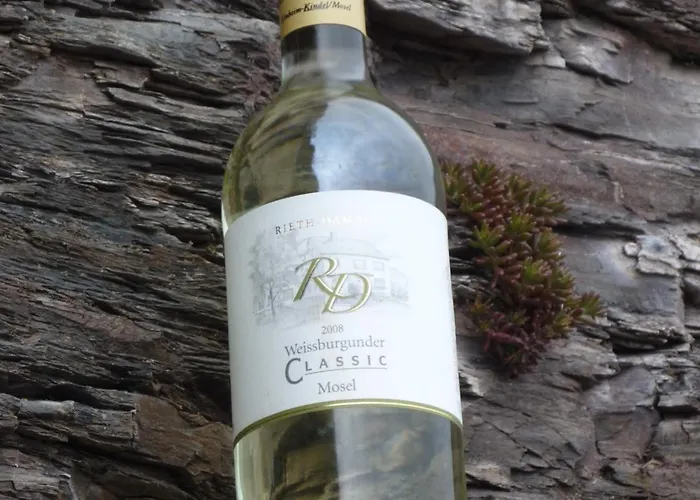 Gastehaus Vinaria Kinheim